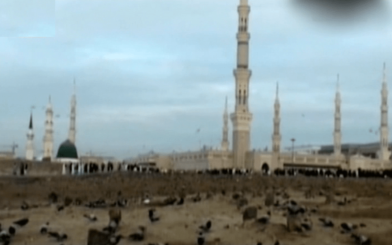 ۱۲محرم شهادت امام سجاد زین العابدین رهبر آزادی و عرفان، علی ابن الحسین (ع) چهارمین پیشوای اسلام انقلابی و مردمی