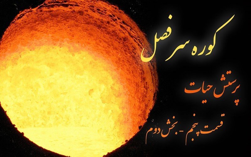 ب. فراهانی - پرستش حیات