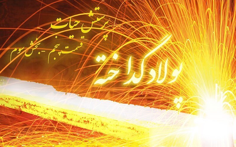 ب.فراهانی - پرستش حیات