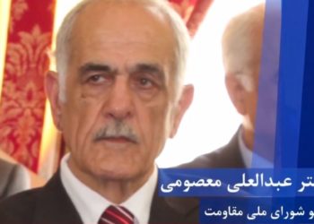 عبدالعلی معصومی، شکرالله پاک‌نژاد شورا را برخاسته از عمق دل و اندیشه انقلاب۵۷ می‌دانست