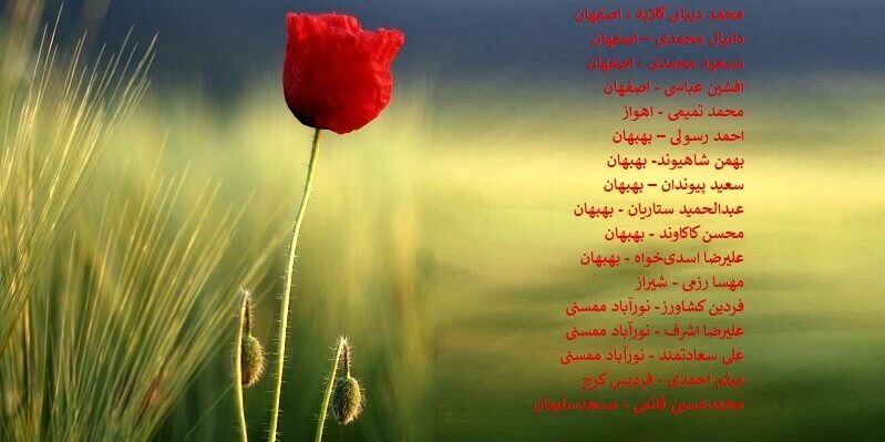 اسامی ۱۷ تن دیگر از شهیدان قیام آبان ۹۸- اطلاعیه شورای ملی مقاومت