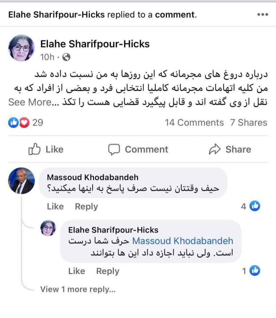 توییت تهدید آمیز الهه هیکس و کامنت مامور اطلاعات آخوندی