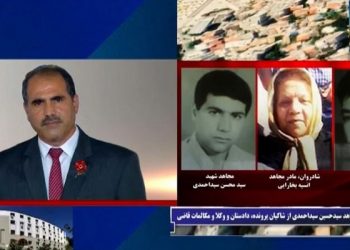 محاکمه حمید نوری از دژخیمان قتل عام ۶۷ در سوئد سخنان برادر مجاهد حسین سید احمدی از شاکیان پرونده