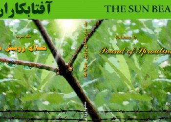 کتاب آفتابکاران - نوشته محمود رویایی- جلد سوم - صدای رویش جوانه ها