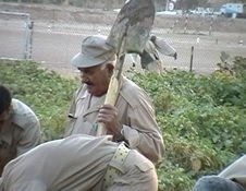 نورمراد، خاطره یی زیبا در قاب‌ دل انگیز شرافت