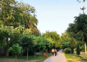 ملارد - پخش شعارهای مرگ بر اصل ولایت فقیه، درود بر مجاهد سلام بر آزادی - سه شنبه‌شب ۱۵ شهریور