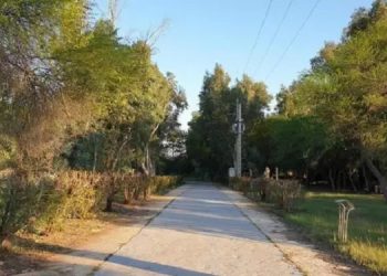 پخش شعار با بلندگو در اهواز، مشهد و تهران