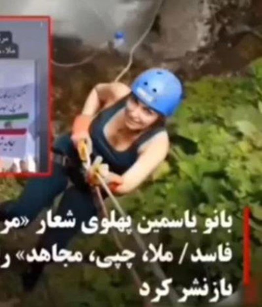 چماقداران سلطنت طلب یک تظاهر کننده را در بروکسل راهی بیمارستان کردند! - بهرام رحمانی