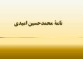 نامهٔ محمدحسین امیدی