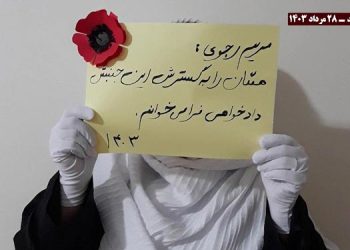 فعالیت قهرمانان کانونهای شورشی در حمایت از جنبش دادخواهی