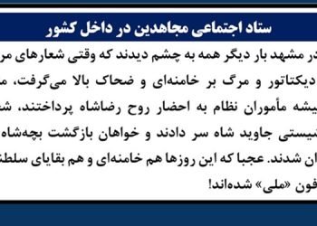 ستاد اجتماعی مجاهدین در داخل کشور- ترفند مددخواهی شیخ از شاه