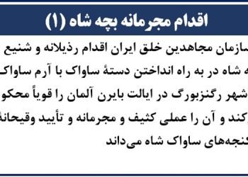 اقدام مجرمانه بچه شاه (۱)