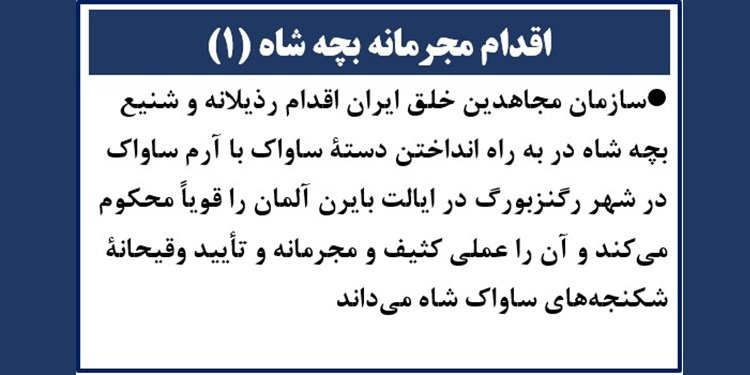 اقدام مجرمانه بچه شاه (۱)