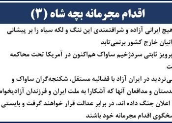 اقدام مجرمانه بچه شاه (۳)