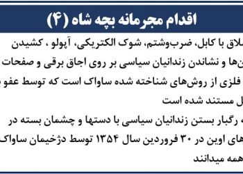 اقدام مجرمانه بچه شاه (۴)