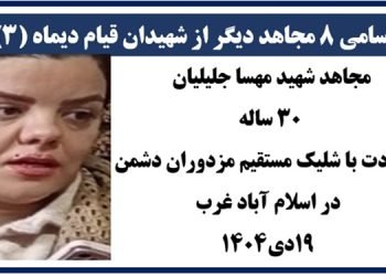 اسامی ۸ مجاهد دیگر از شهیدان قیام دیماه (۳)